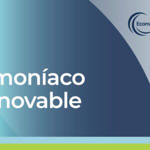 Curso sobre el uso de combustibles alternativos en buques: Amoníaco/Amoníaco renovable (Proyecto Ecomar)