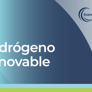 Curso sobre el uso de combustibles alternativos en buques: Hidrógeno Renovable (Proyecto Ecomar)